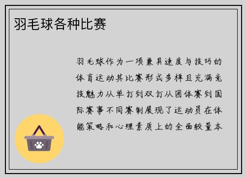 羽毛球各种比赛