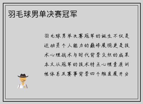 羽毛球男单决赛冠军